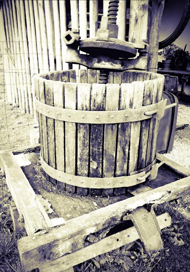 Ecogite Rural La Cle Des Champs Peyrelongue-Abos エクステリア 写真