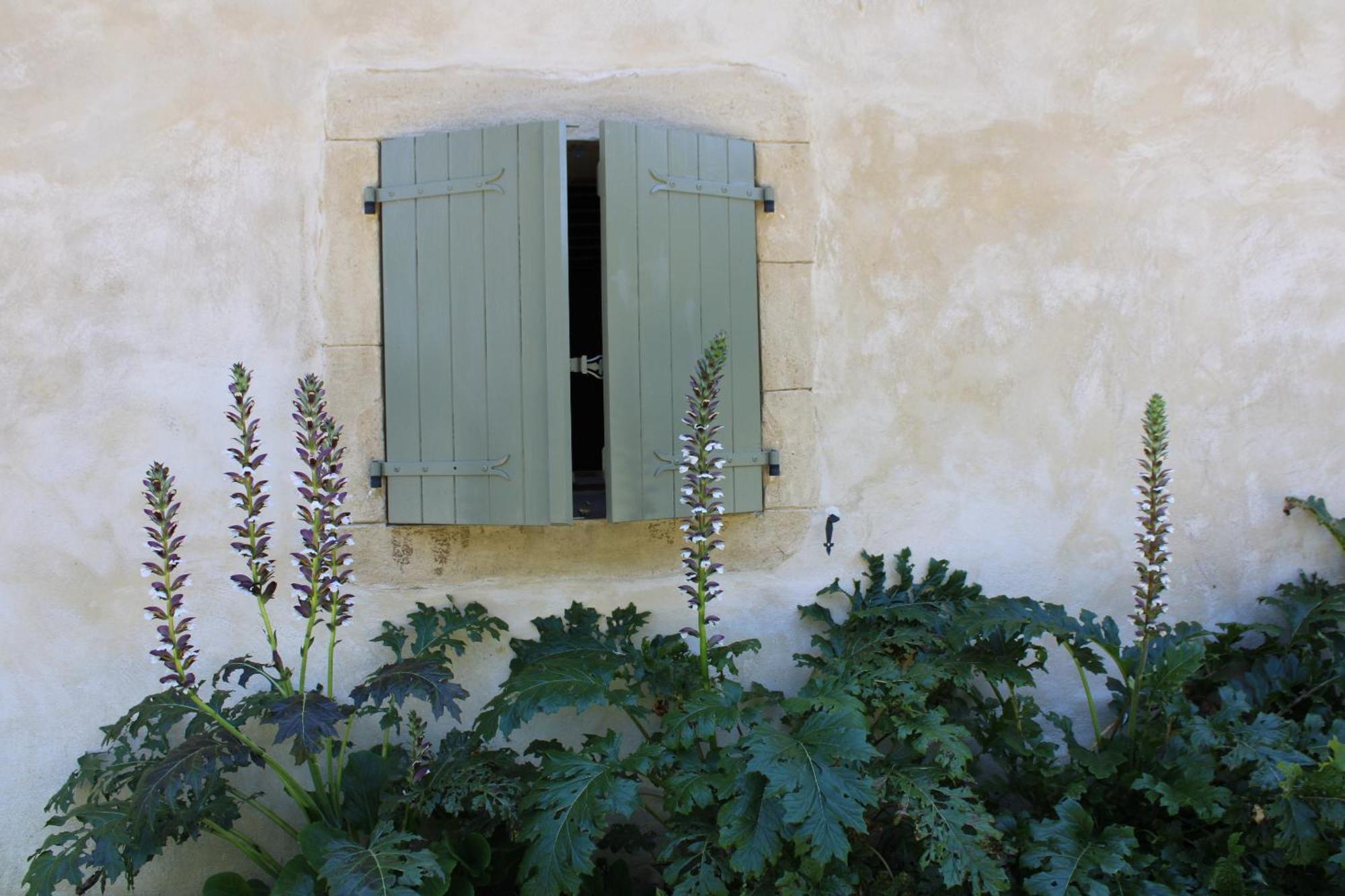 Ecogite Rural La Cle Des Champs Peyrelongue-Abos 部屋 写真