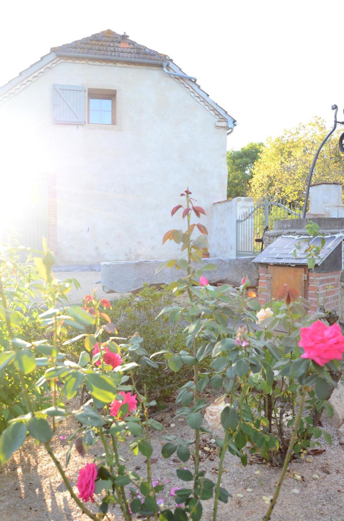 Ecogite Rural La Cle Des Champs Peyrelongue-Abos 部屋 写真