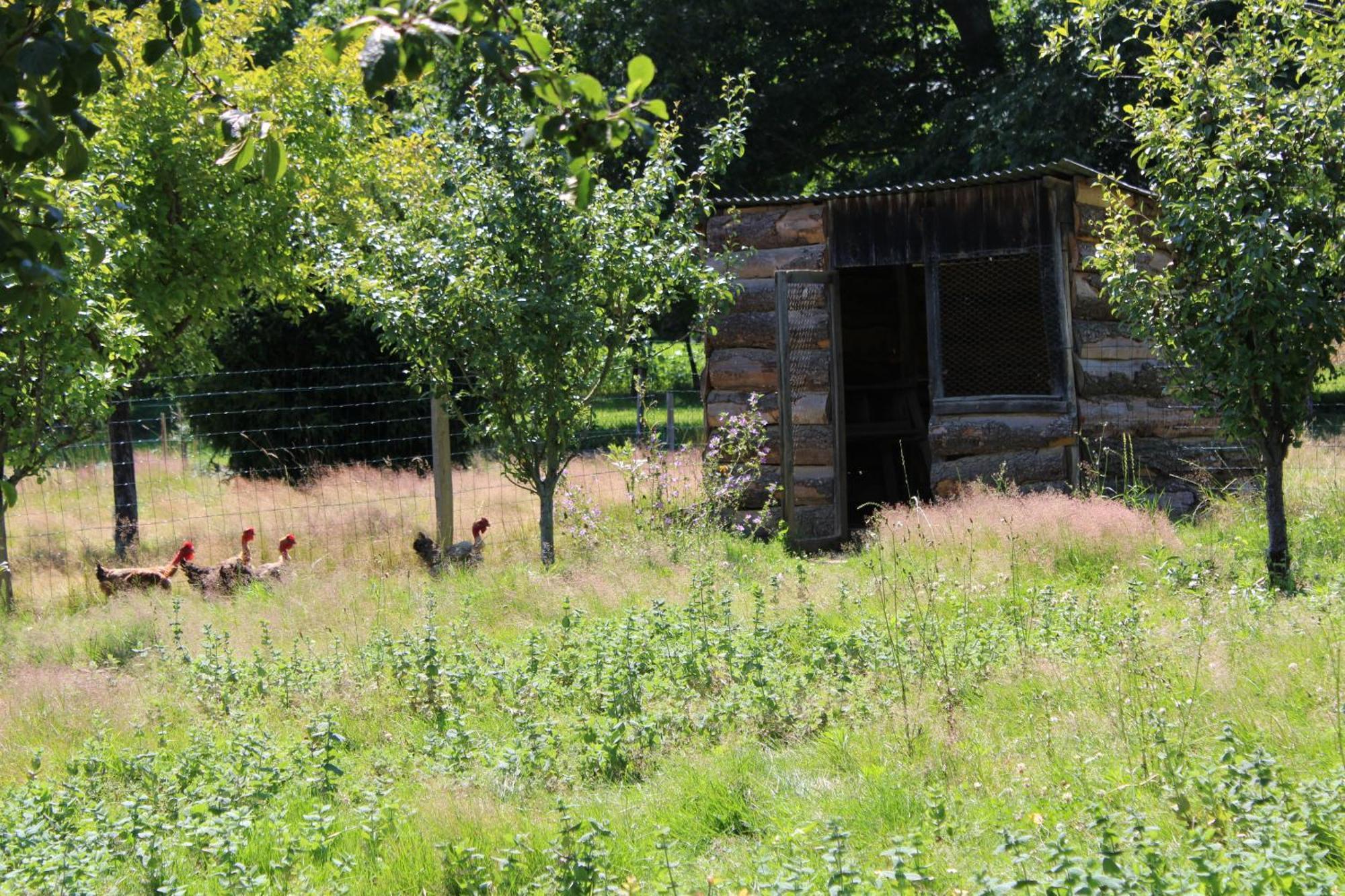 Ecogite Rural La Cle Des Champs Peyrelongue-Abos 部屋 写真