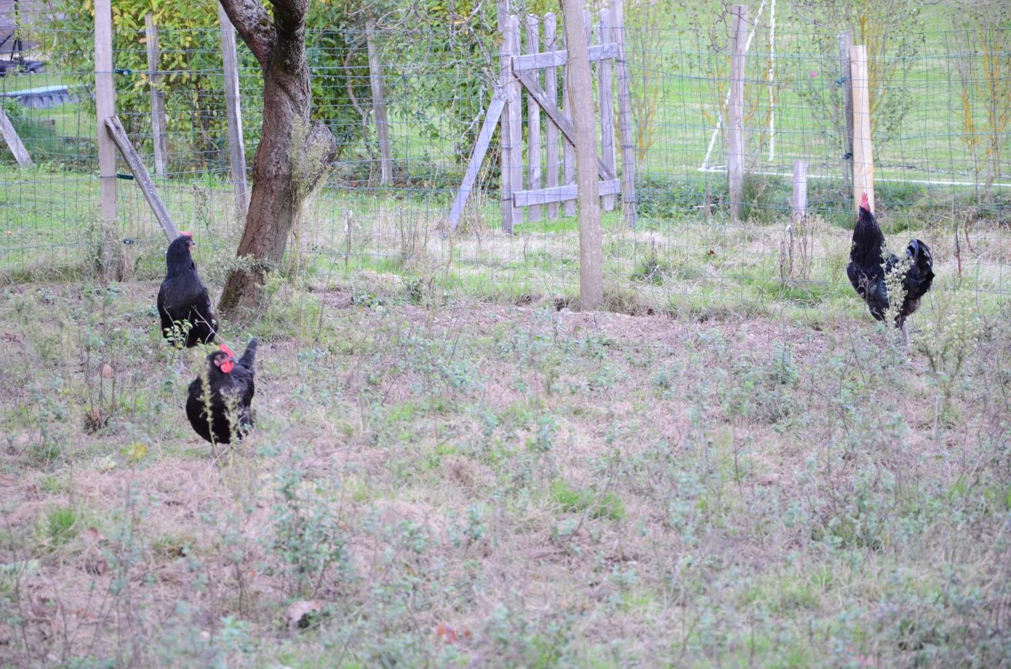 Ecogite Rural La Cle Des Champs Peyrelongue-Abos エクステリア 写真